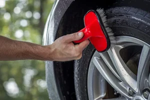 Mothers Tire Brush